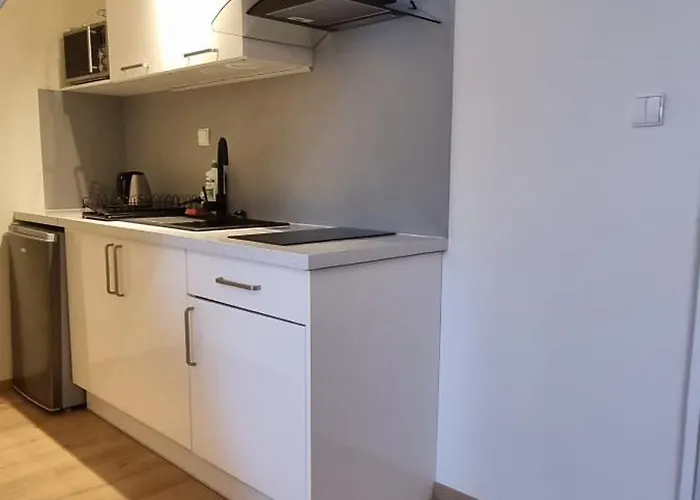 Zosienka Bed and breakfast Zakopane