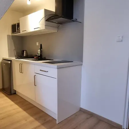 Zosienka Bed & Breakfast Zakopane